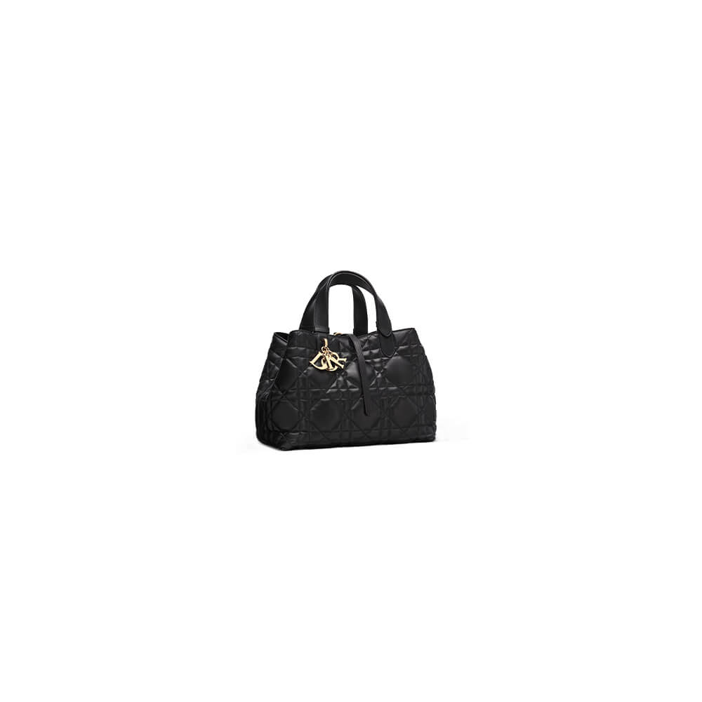 Dior Toujours Medium