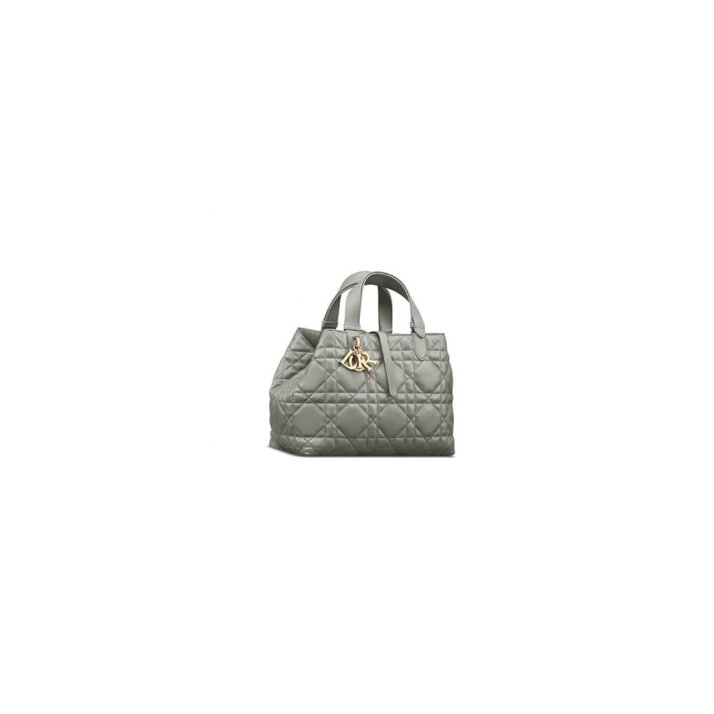 Dior Toujours Medium