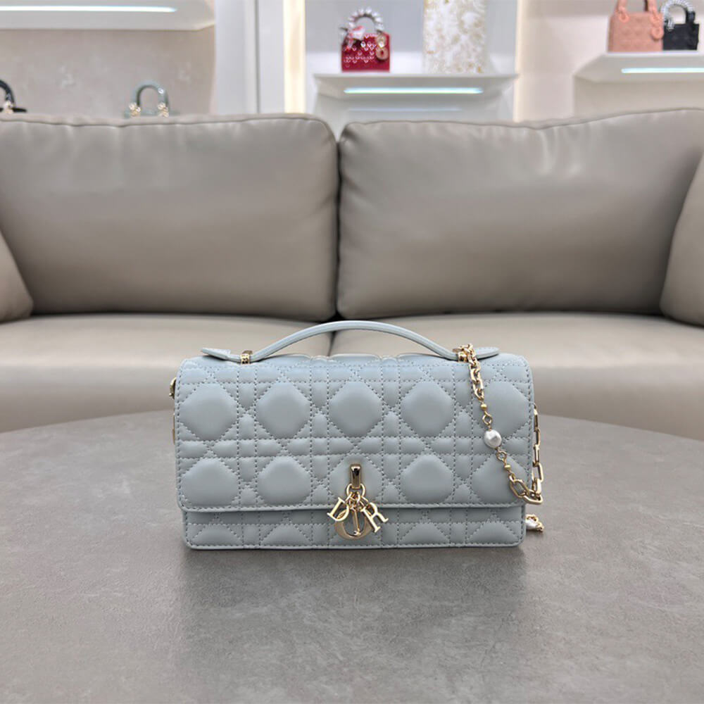 Dior Mini Bag
