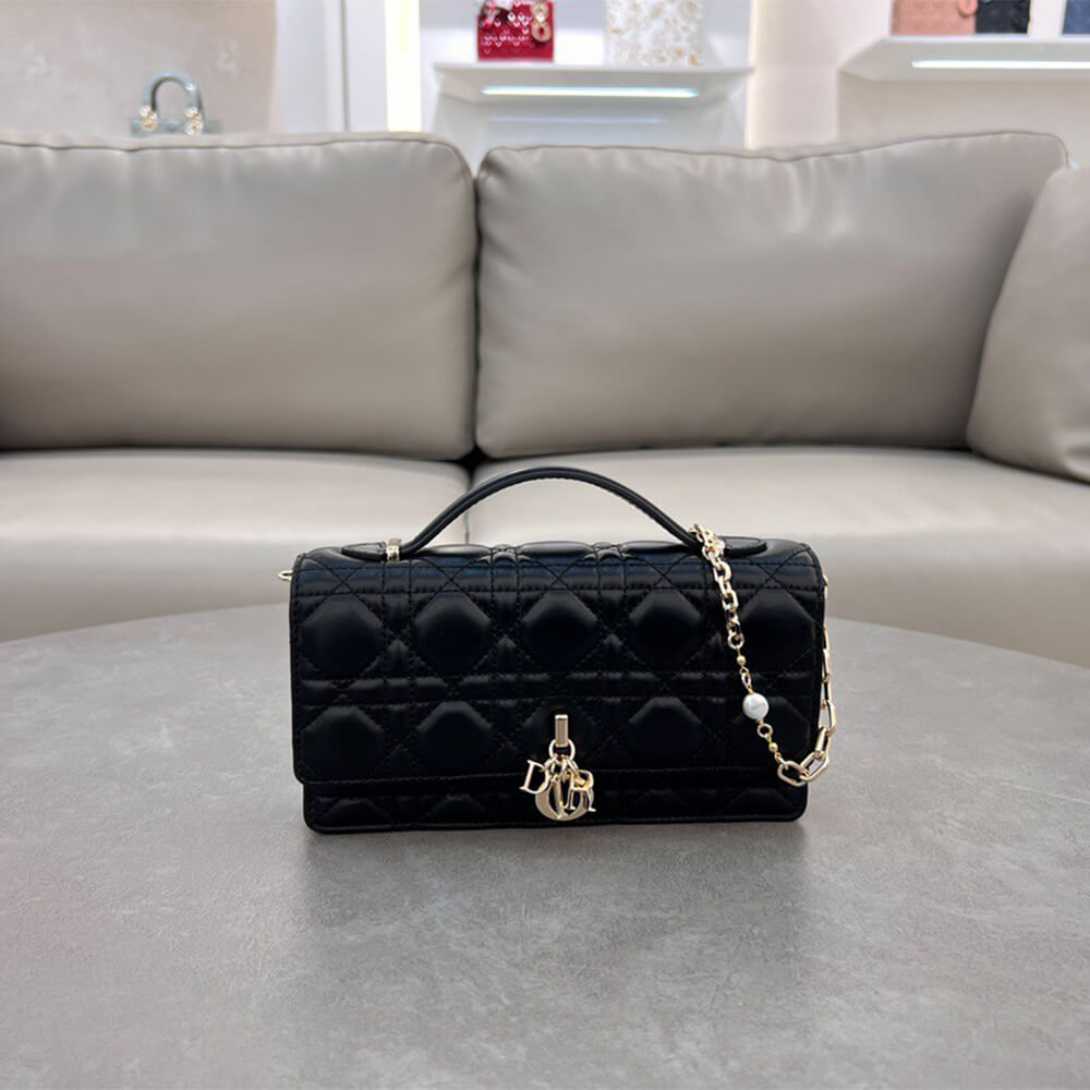 Dior Mini Bag