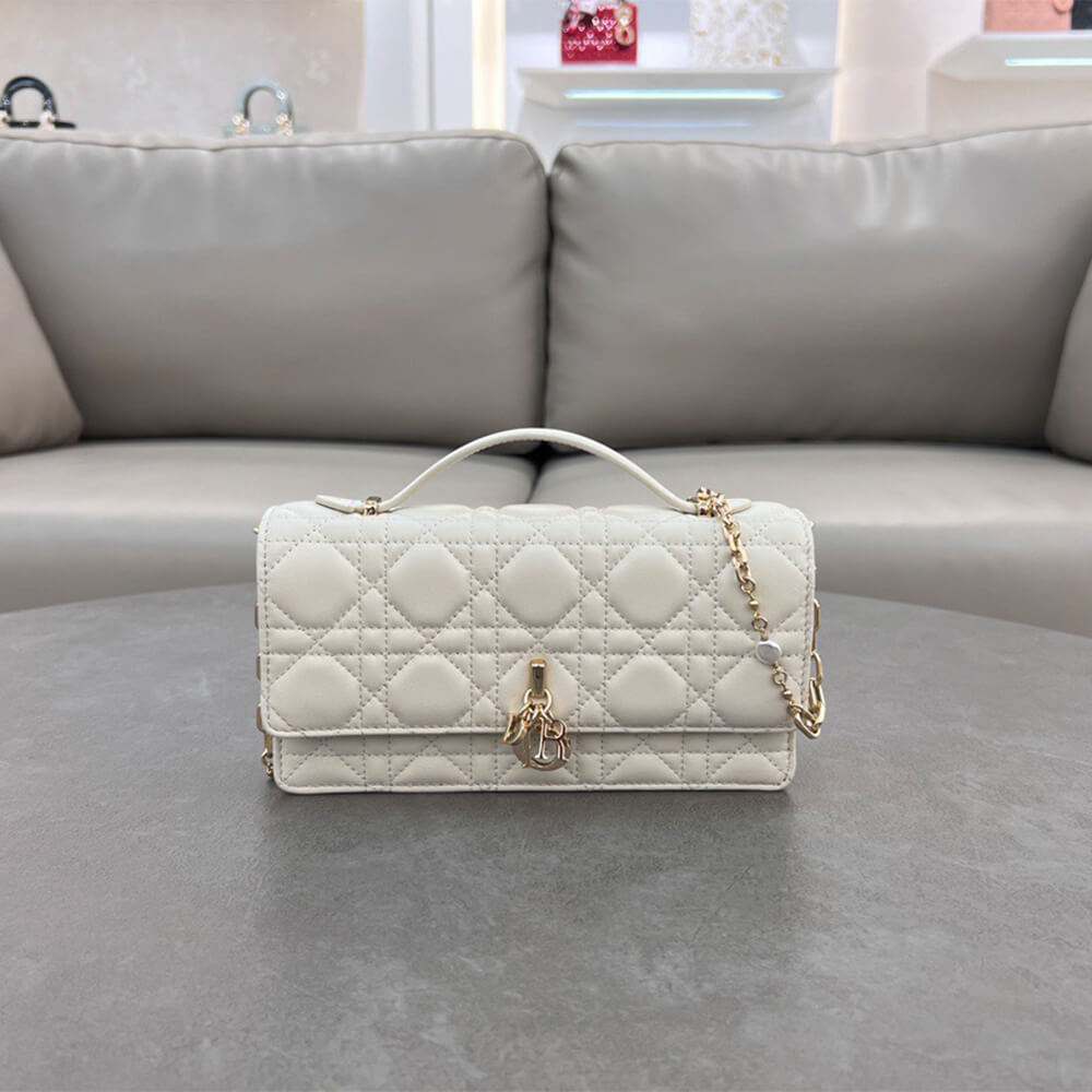 Dior Mini Bag