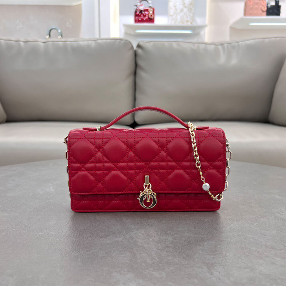 Dior Mini Bag