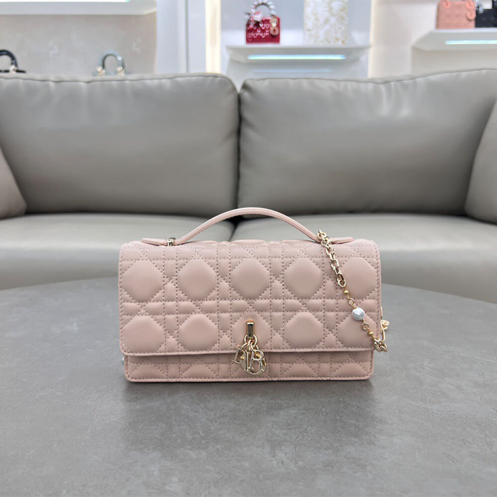 Dior Mini Bag