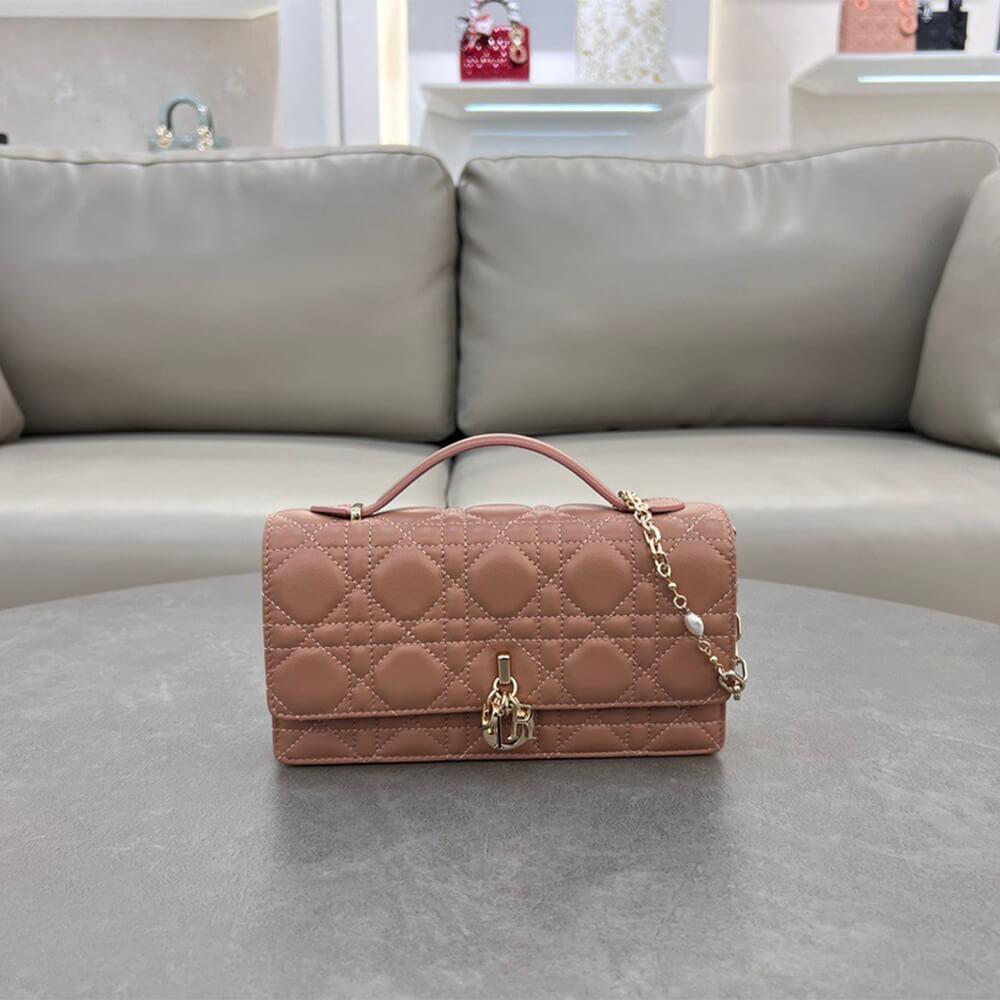 Dior Mini Bag