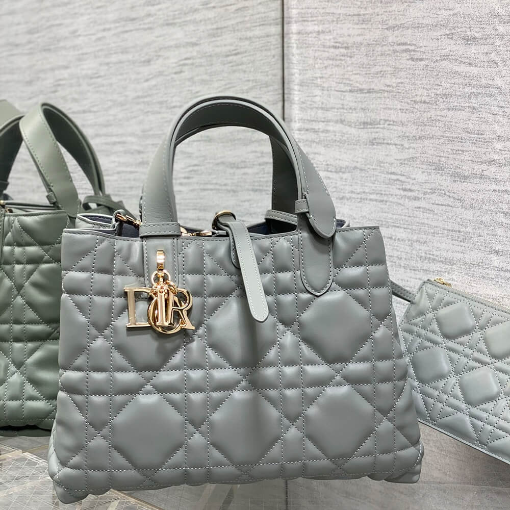 Dior Toujours Medium