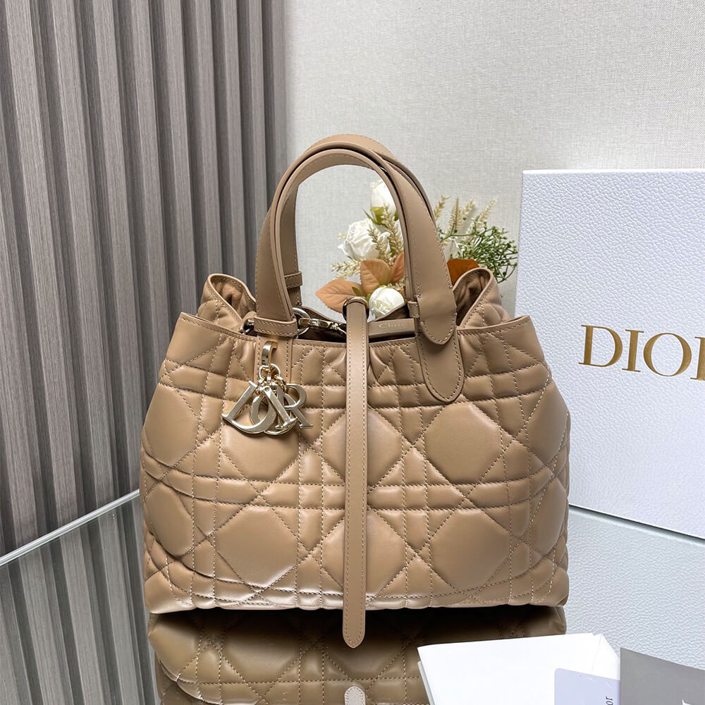 Dior Toujours Medium