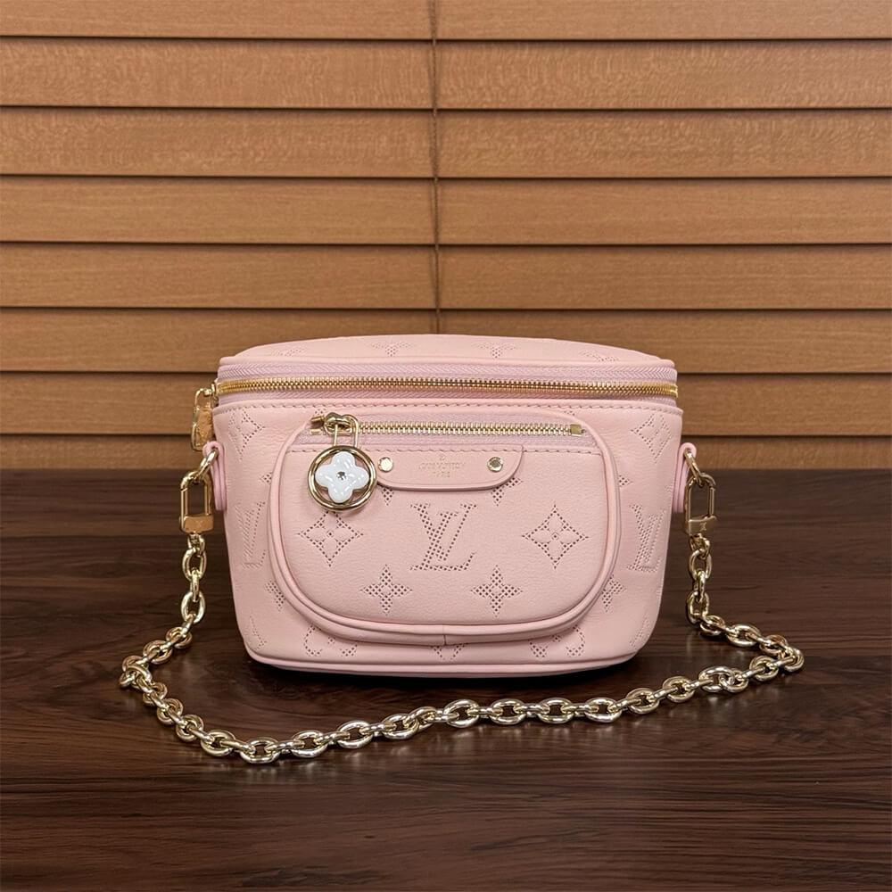 LV MINI BUMBAG BAG