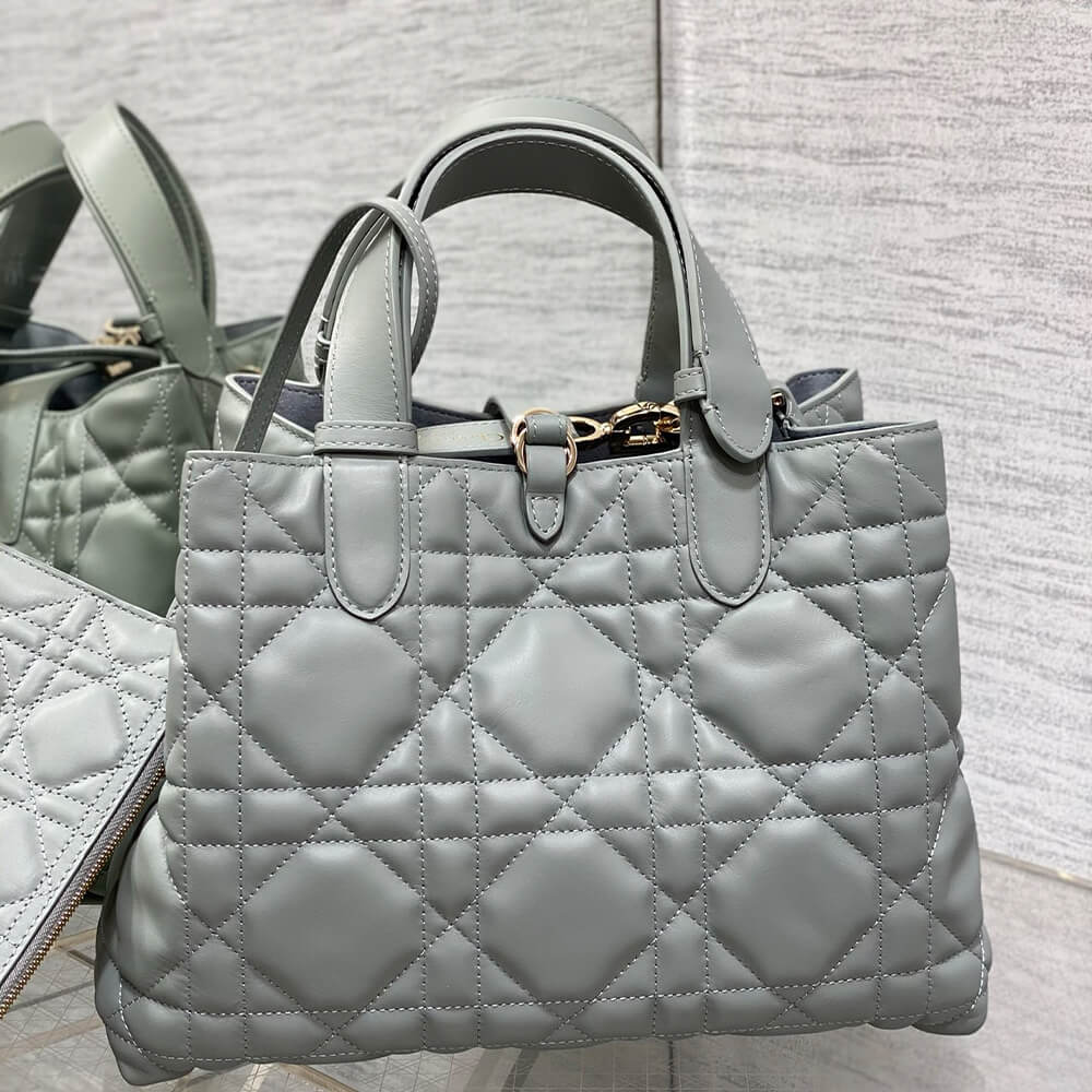 Dior Toujours Medium