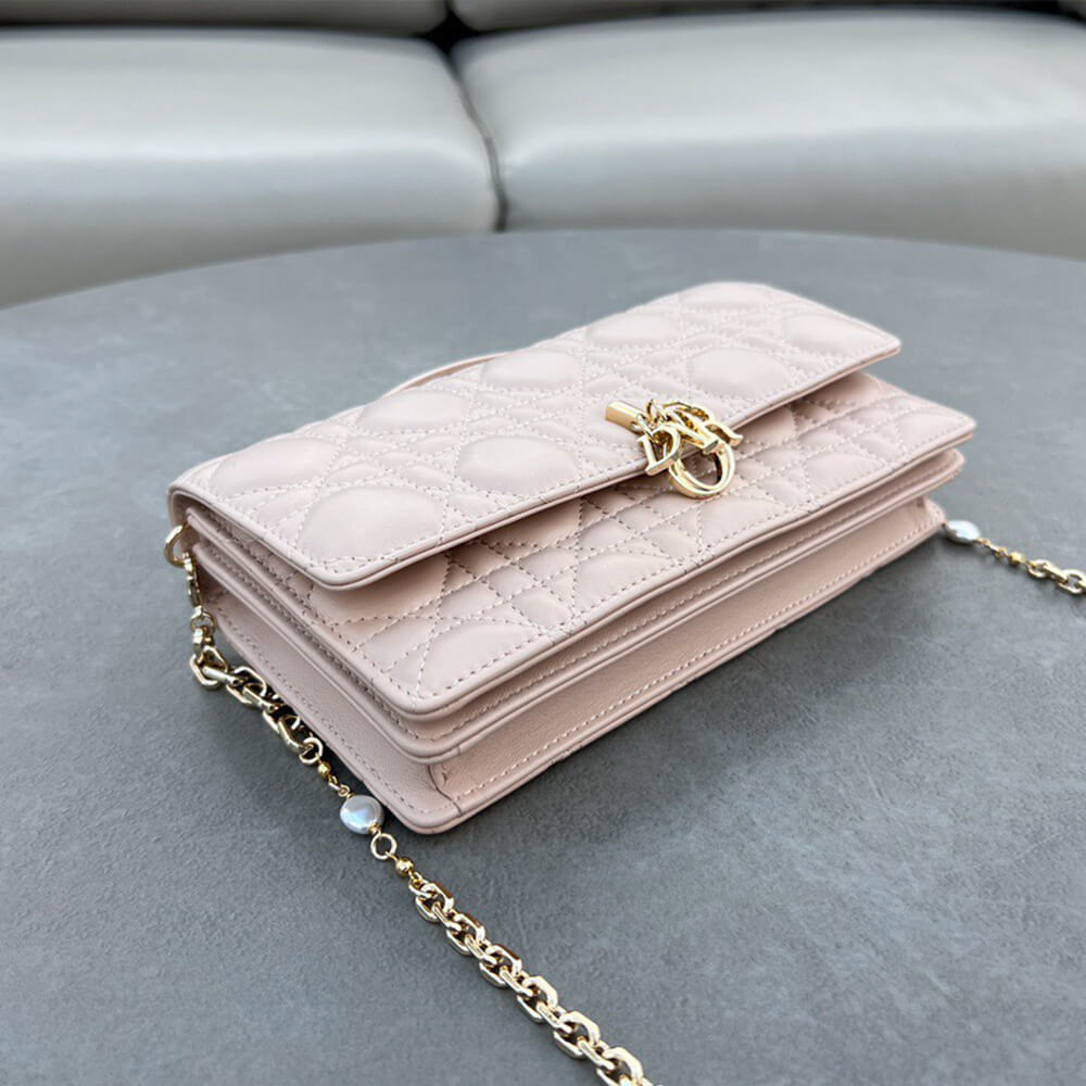 Dior Mini Bag