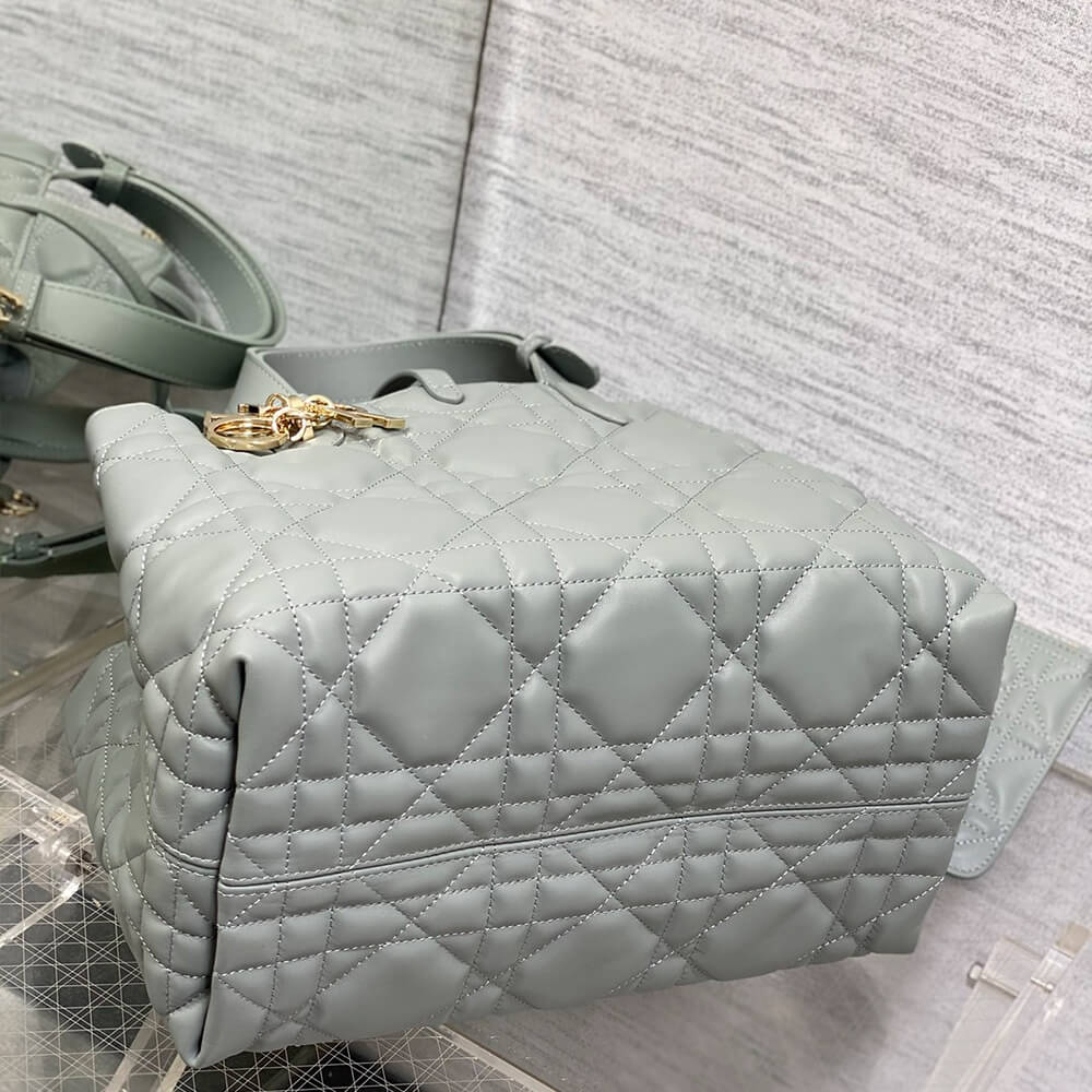 Dior Toujours Medium