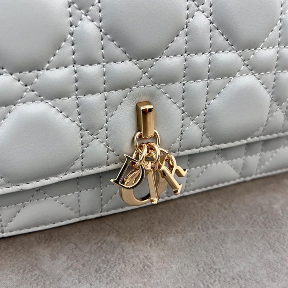 Dior Mini Bag