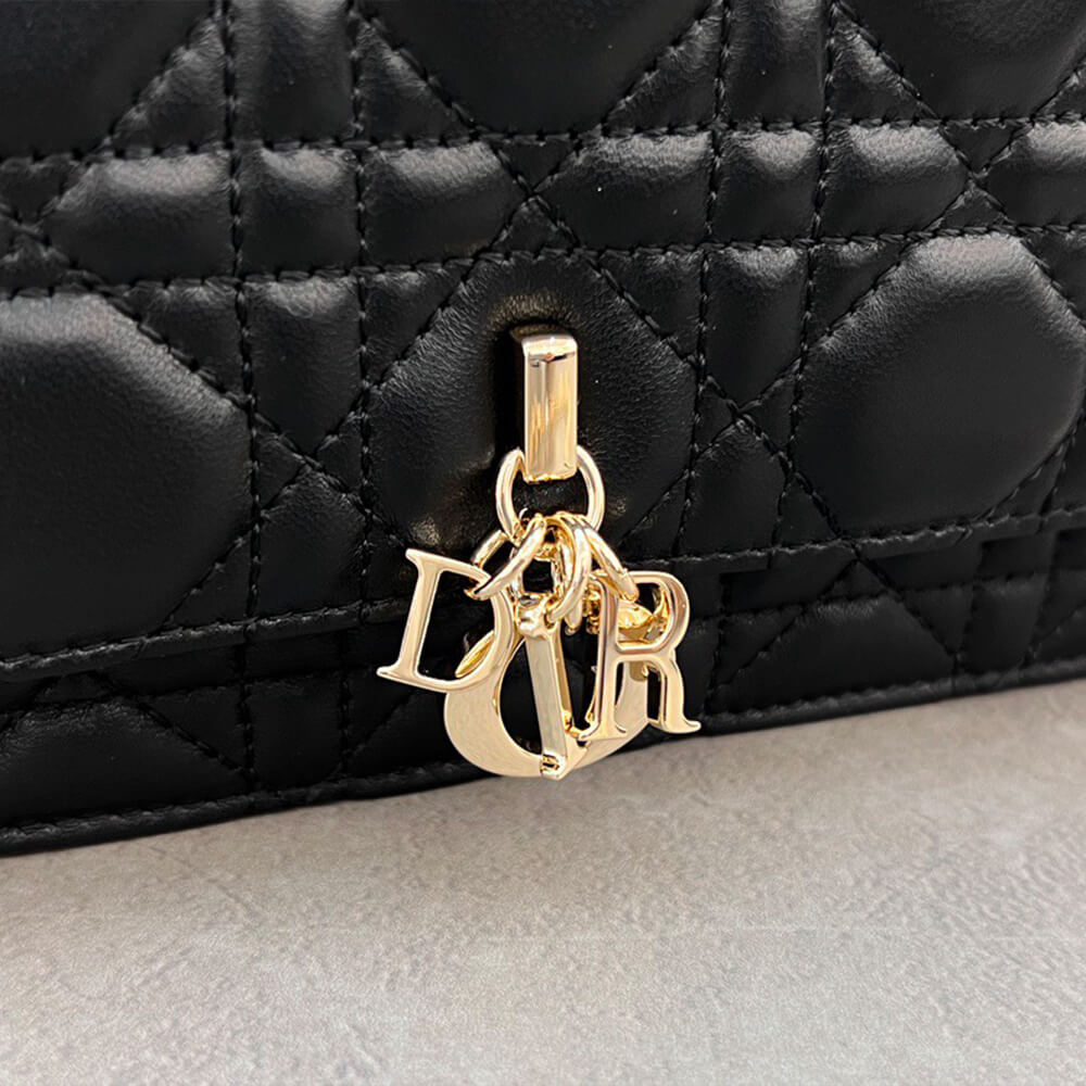 Dior Mini Bag