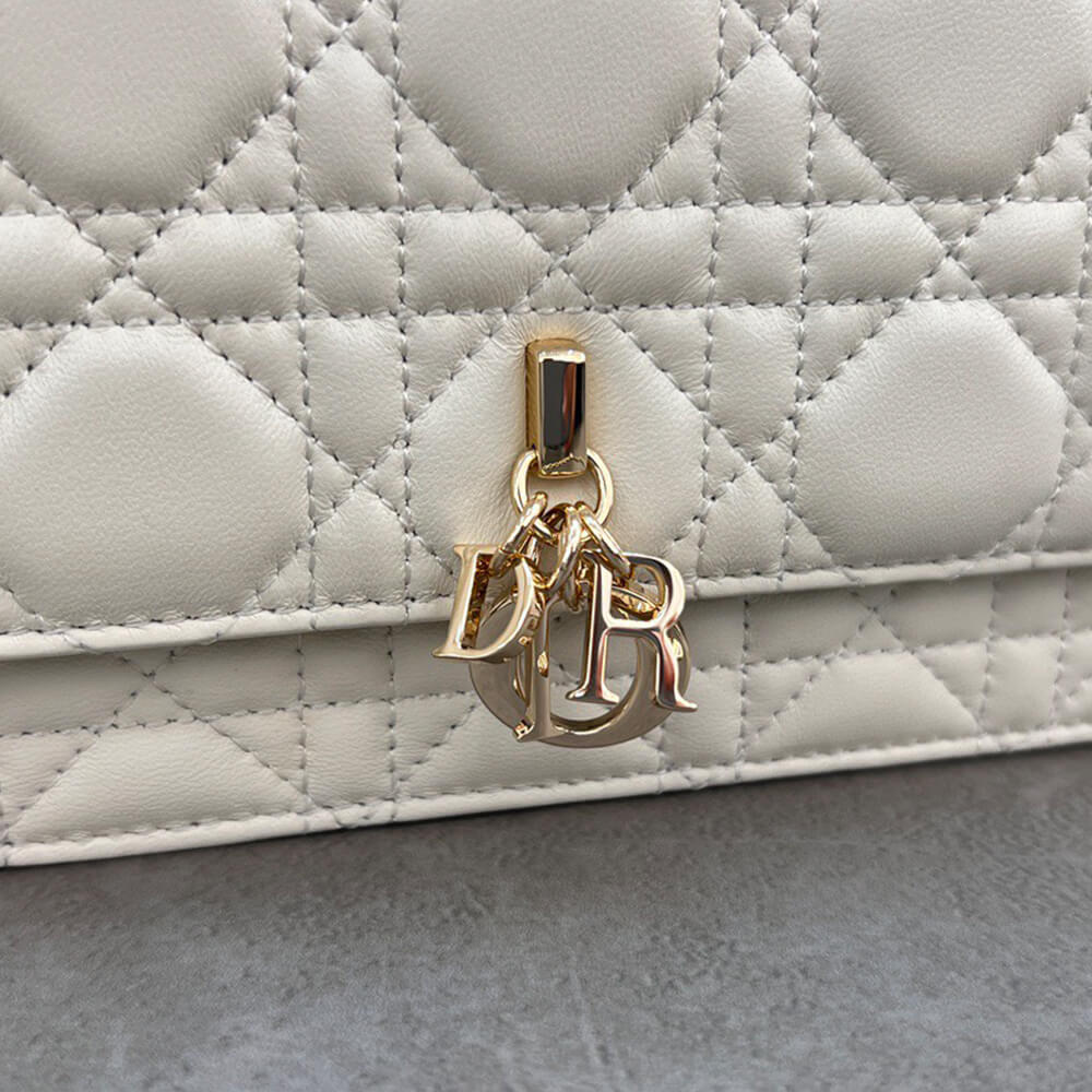 Dior Mini Bag