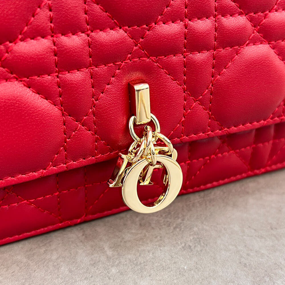 Dior Mini Bag