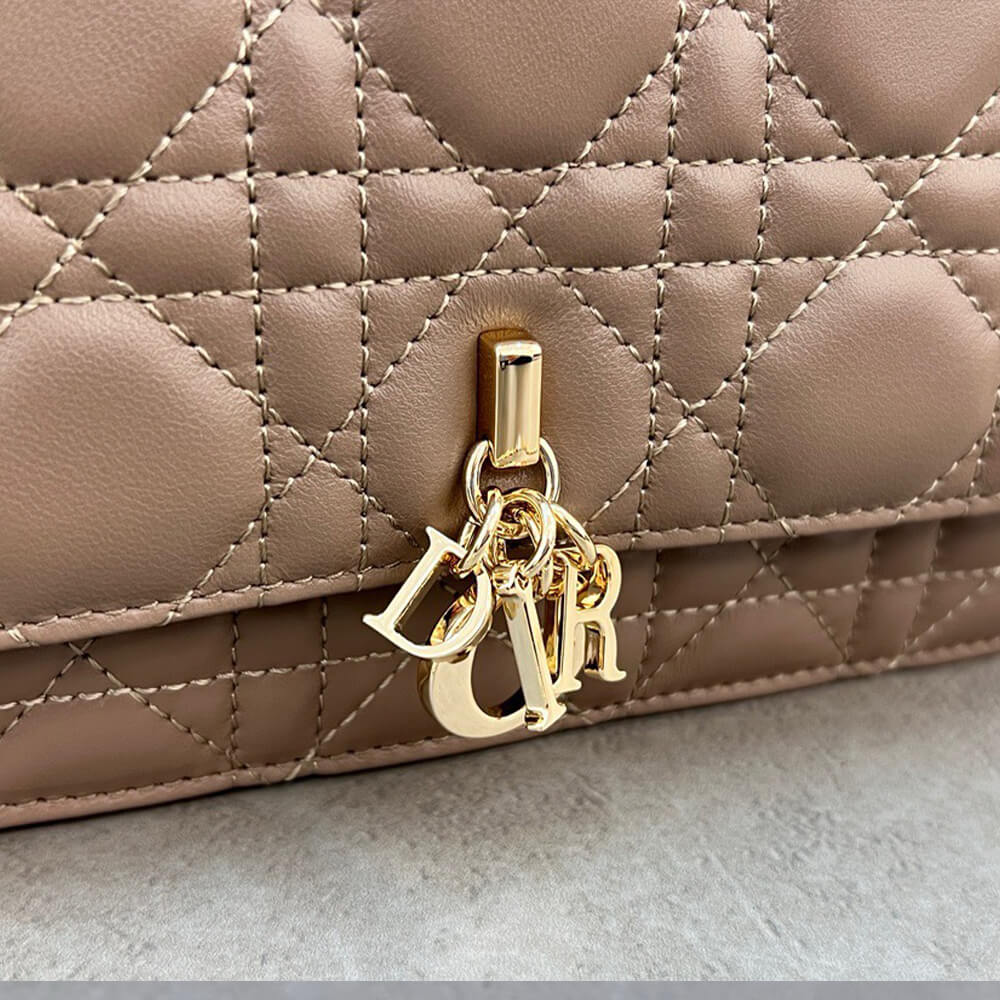 Dior Mini Bag