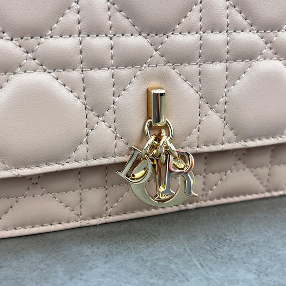 Dior Mini Bag