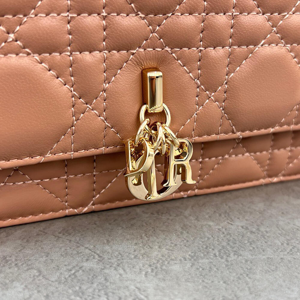 Dior Mini Bag