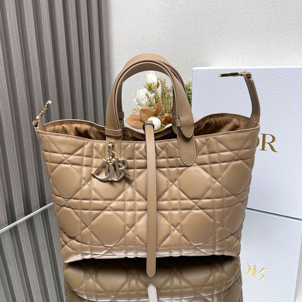 Dior Toujours Medium