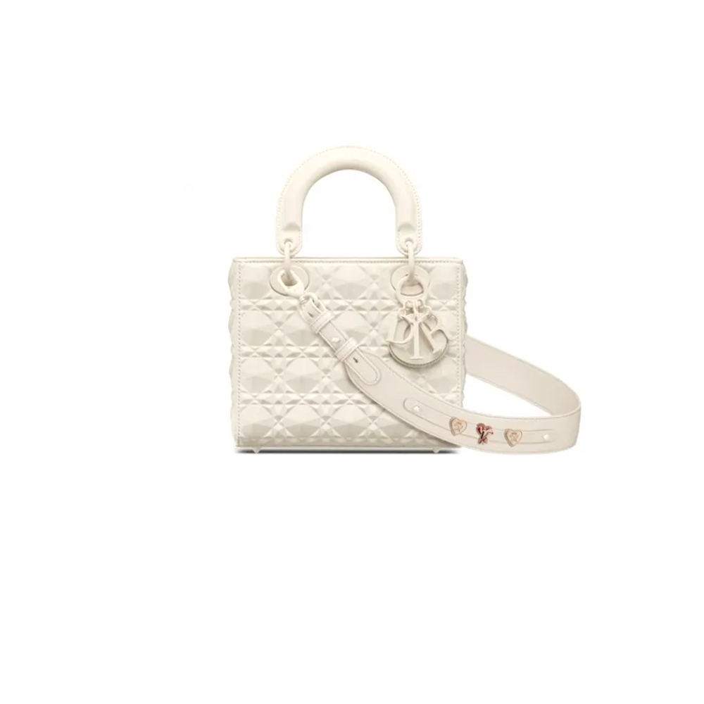 SMALL LADY DIOR MY ABCDIOR BAG