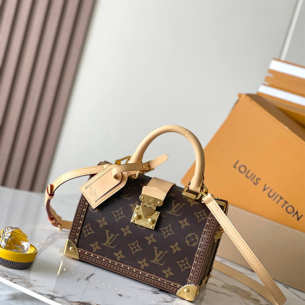 LV Speedy Trunk 20 Monogram