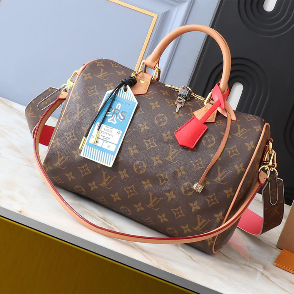 LV Speedy Soft 30 Crafty