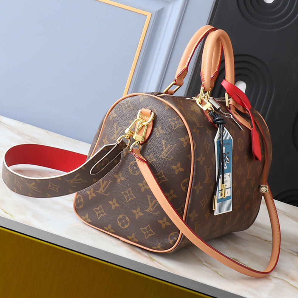 LV Speedy Soft 30 Crafty