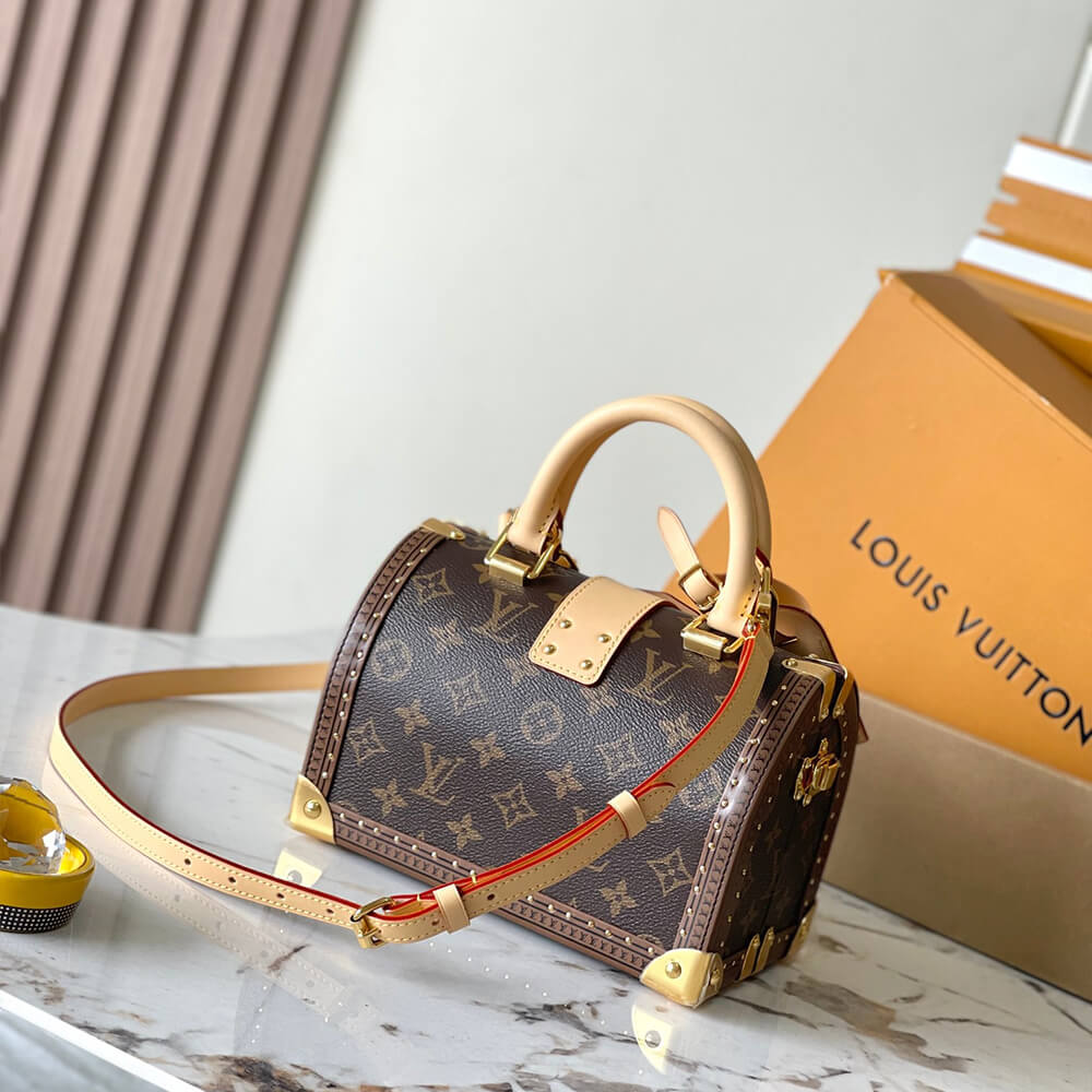 LV Speedy Trunk 20 Monogram