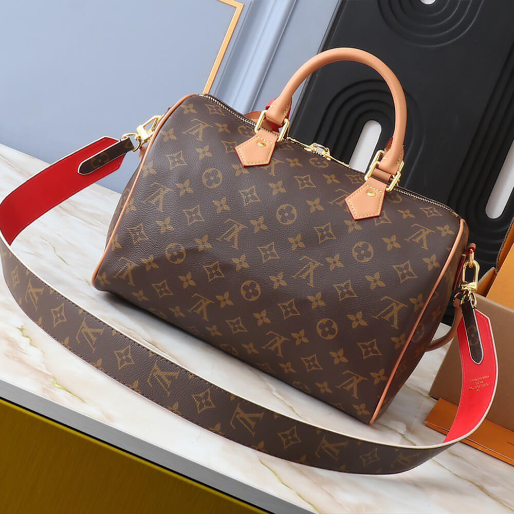 LV Speedy Soft 30 Crafty