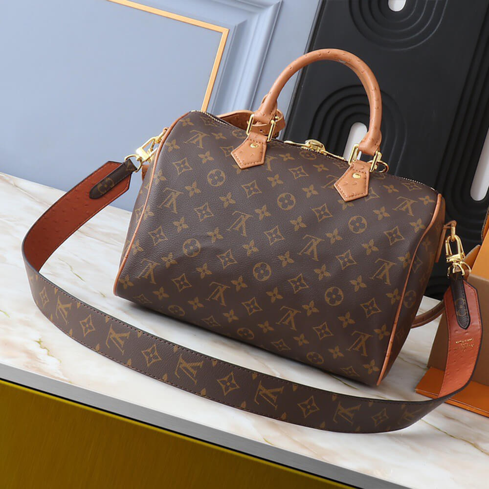 LV Speedy Soft 30 Boho