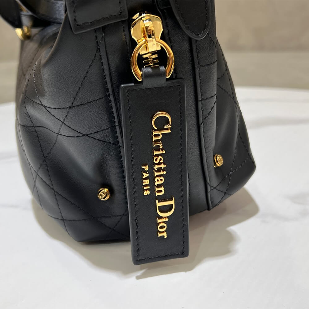 Dior Medium D-Journey Bag in Vintage Smooth Calfskin(high-end grade)