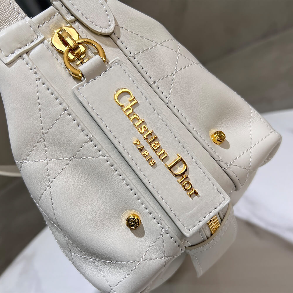 Dior Small D-Journey Bag in Vintage Smooth Calfskin(high-end grade)