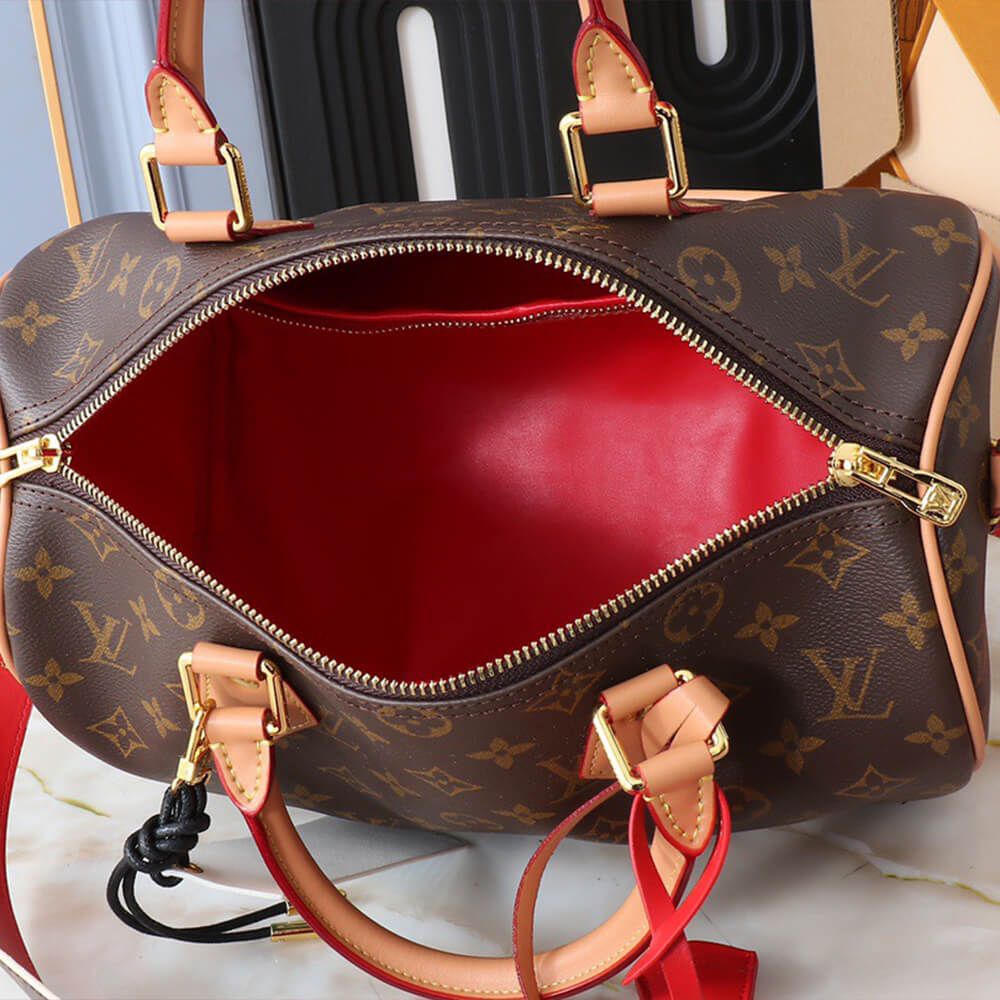 LV Speedy Soft 30 Crafty