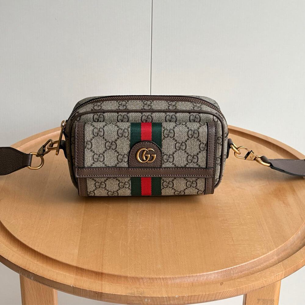 Gucci Ophidia mini bag
