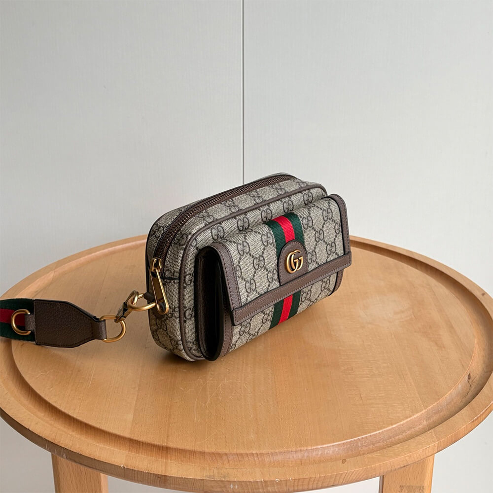 Gucci Ophidia mini bag