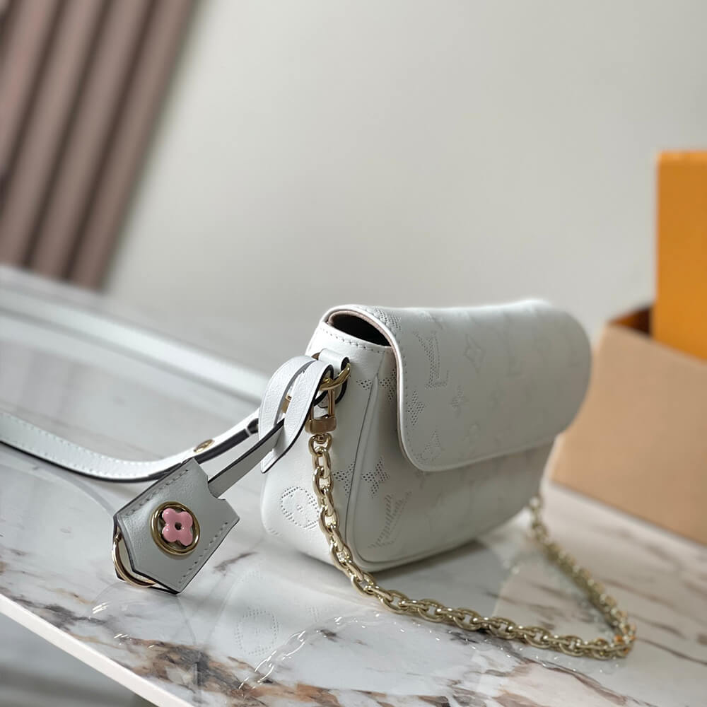 LV WALLET ON CHAIN ​​IVY BAG