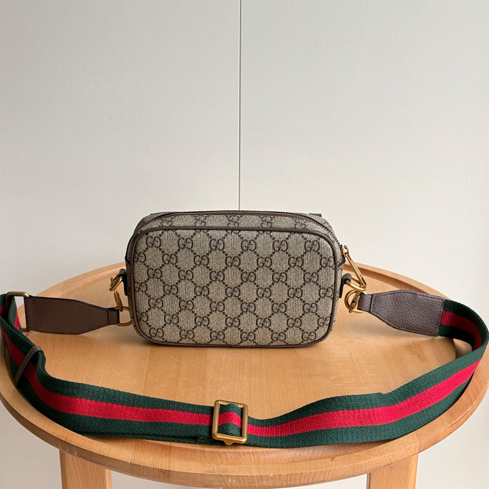 Gucci Ophidia mini bag