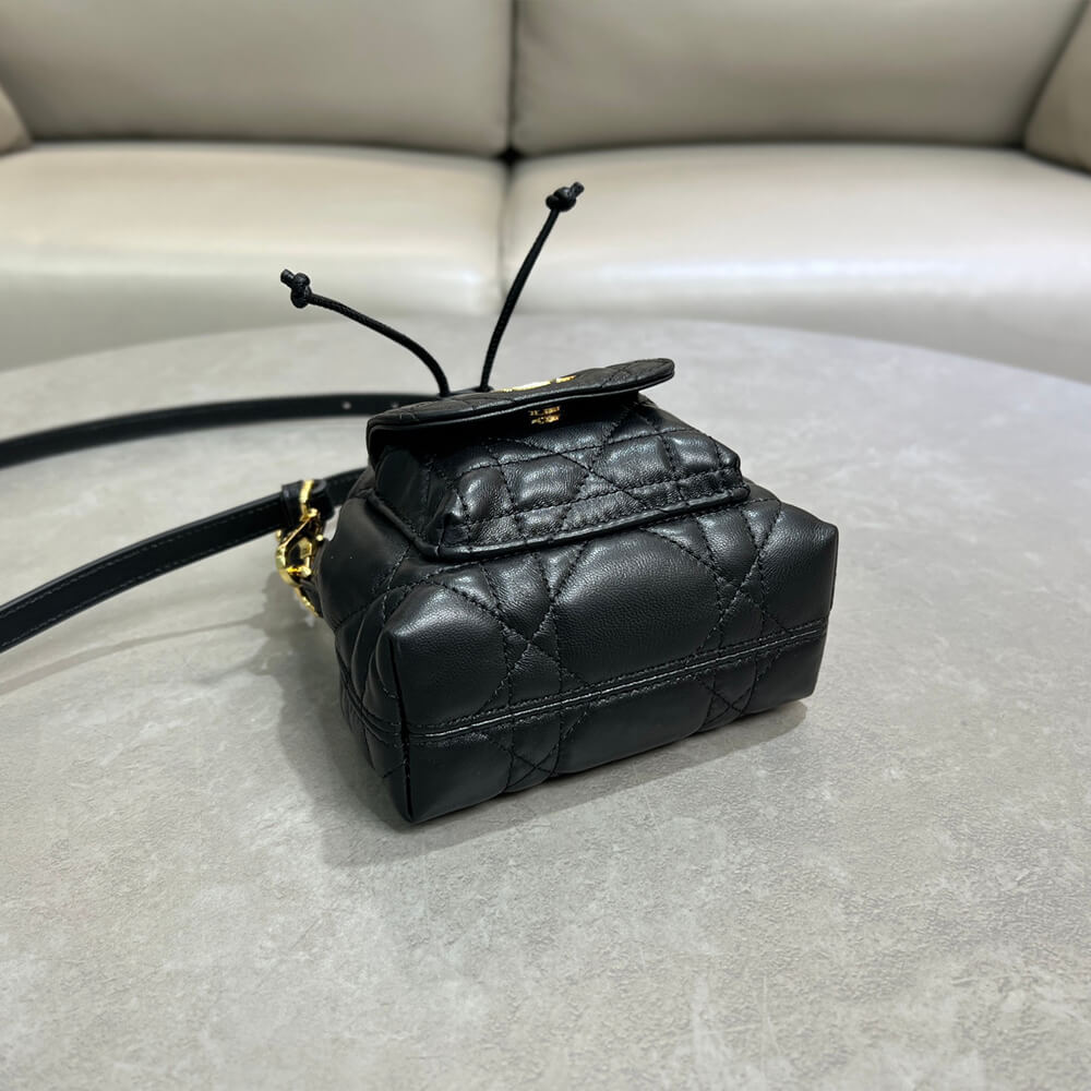 DIOR Micro Dior Caro Bucket Bag