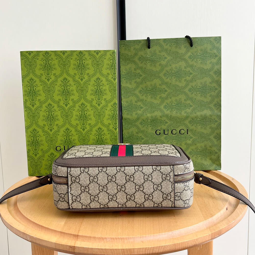 Gucci Ophidia small top handle bag