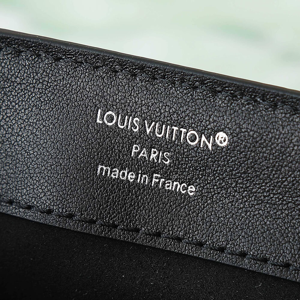 LV DAUPHINE SOFT MEDIUM BAG