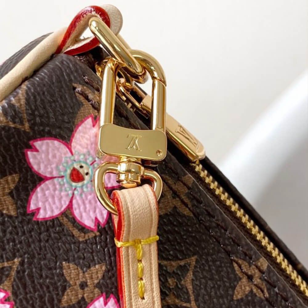 LV x TM PAPILLON Bag