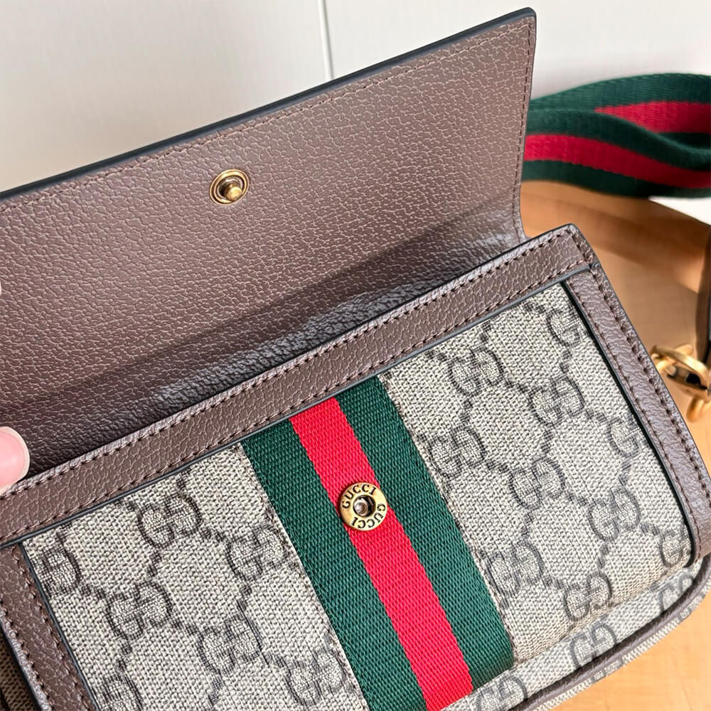 Gucci Ophidia mini bag