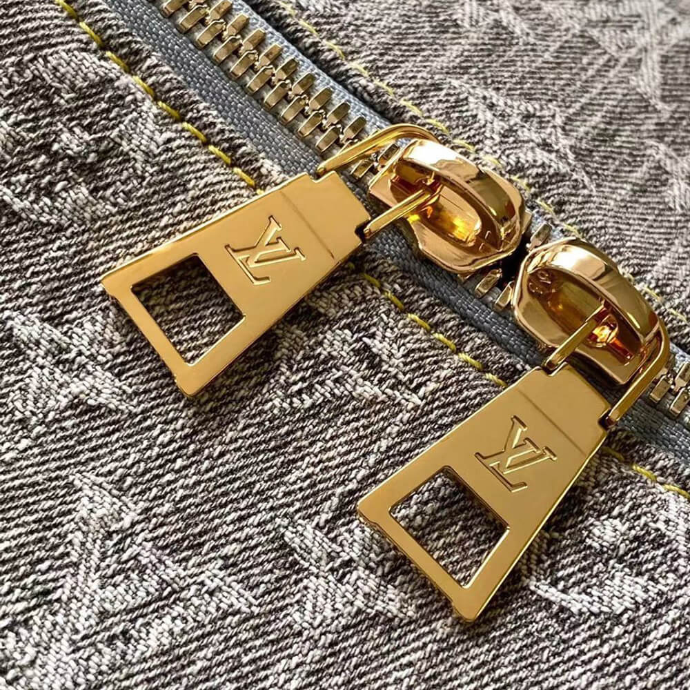 LV Coussin Hobo MM (HIGH-END GRADE)