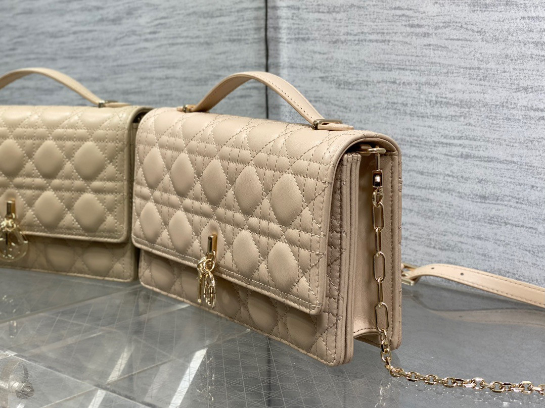 my D*or top handle bag 24x14x7.5cm