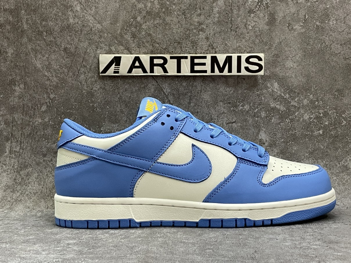 Nike Dunk Low Coast