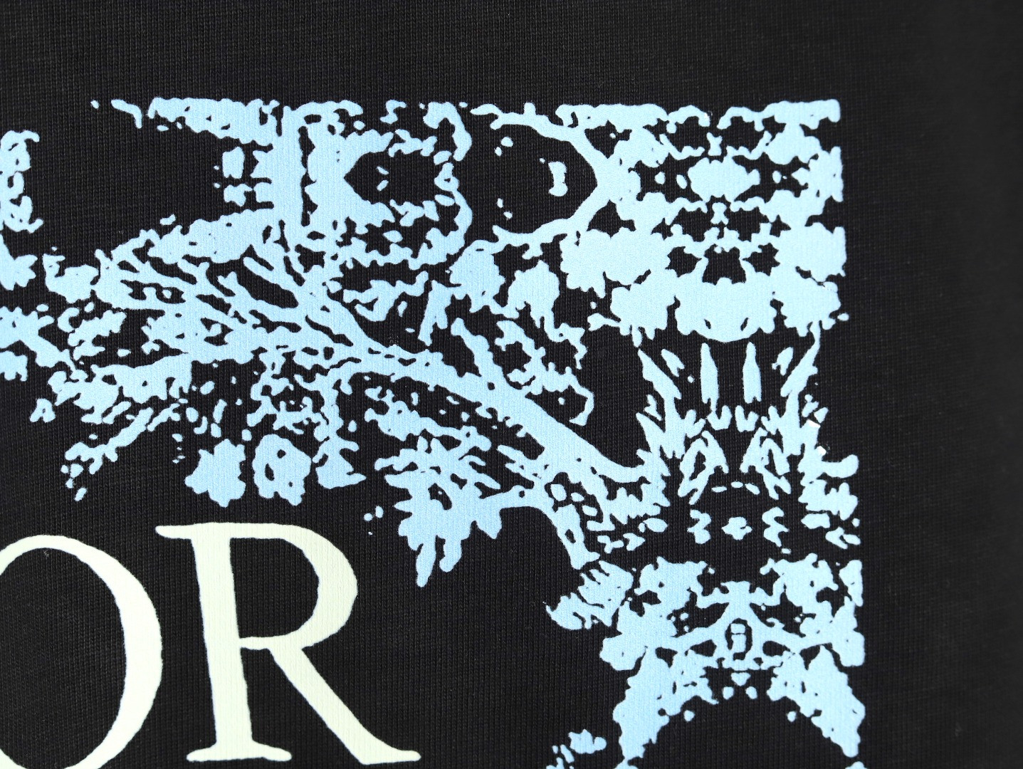 D*or 25ss short-sleeved t-shirt