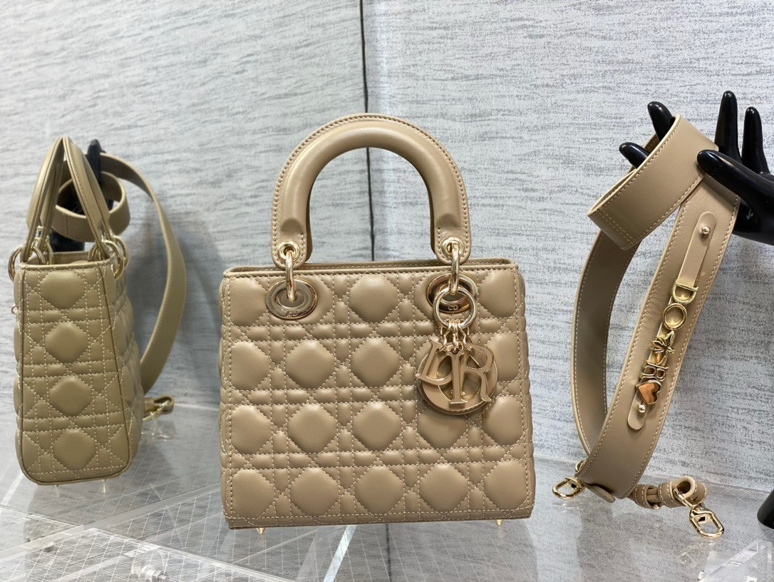 medium lady D*or bag 24 x 20 x 12 cm