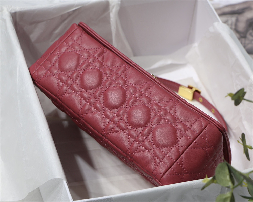 medium d*or caro bag S*pple cannage calfskin 25.5 x 15.5 x 8 cm