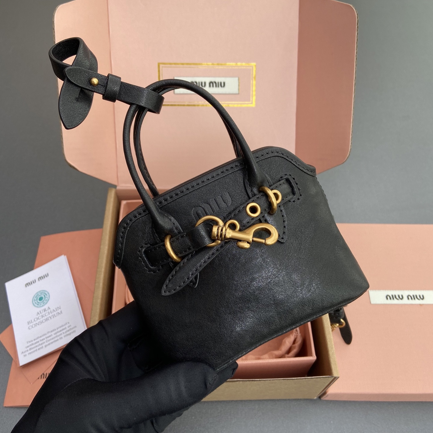 Miu Miu Aventure Nappa Micro Leather trick 9.5x12x2.5cm